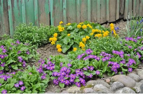 Клумбы непрерывного цветения для тенистых и солнечных мест | Антонов ...