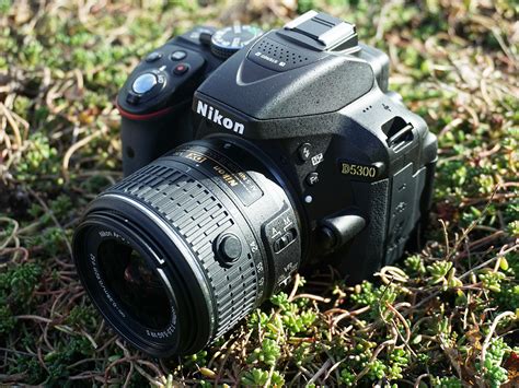 Фотографии на зеркальный фотоаппарат (много фото) - artshots.ru