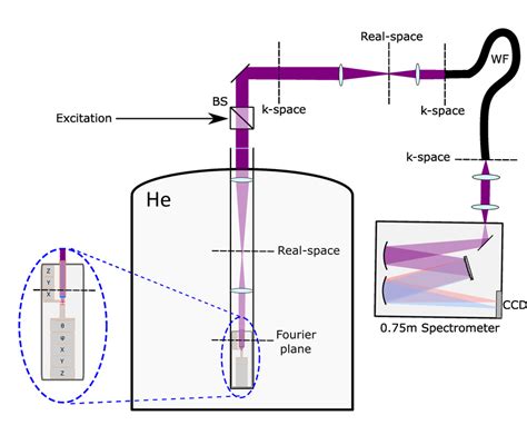 FIG. S1. Schematic of the experimental setup. | Download Scientific Diagram
