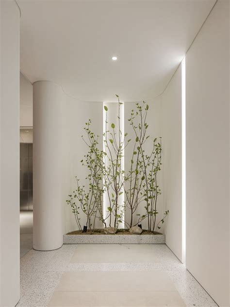 An Empty Room With White Walls And Plants On The Wall