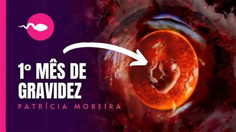 Com 1 Mes De Gravidez - 1° MÊS DE GRAVIDEZ - Semanas 1, 2, 3, 4 | O que acontece no primeiro ...