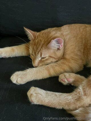 Pushinguprosesart Pushinuproses Nude OnlyFans NudoStar TV