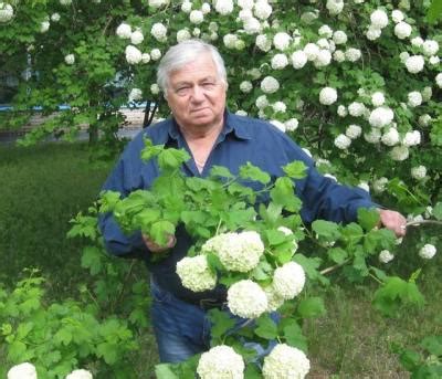 Mature Wolf Bear Tumblr Tumbex