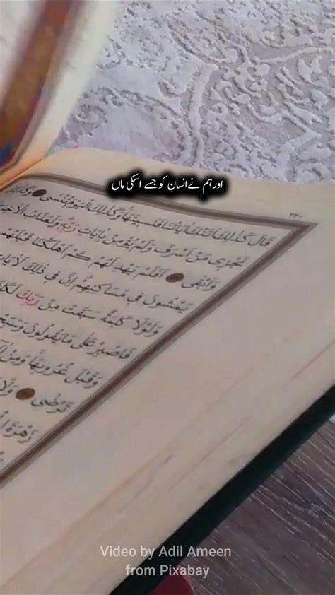 surah luqman advice  muslim  quran