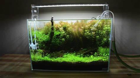 Planted Tank Mini Nature Aquarium Ada Aquasky Update Youtube