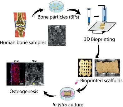 PatientSpecific Bone Particles Bioprinting For Bone Tissue Engineering