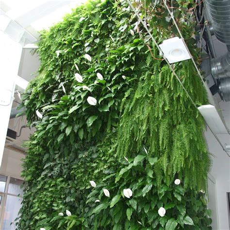 Вертикальное озеленение