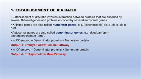 Molecular Mechanism Of Sex Determination In Drosophila Pptx