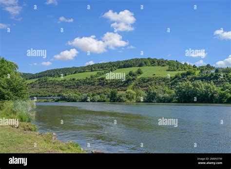 Fluss Main Bei Zellingen Weinberge Bayern Deutschland Stock Photo