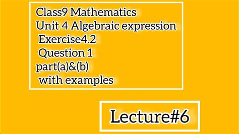 Class Mathematics Unit Algebraic Expression Exercise Question