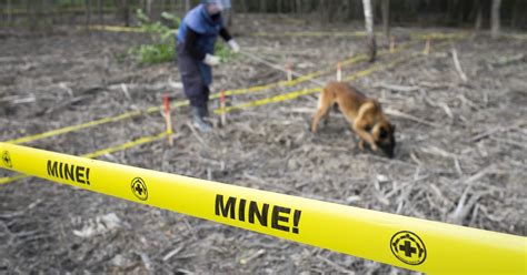 cheer  fear  european investment dilemma