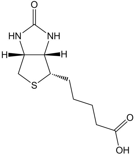 Biotin|Lysine probe coupled to mass spectrometry detection|CAS# 58-85-5
