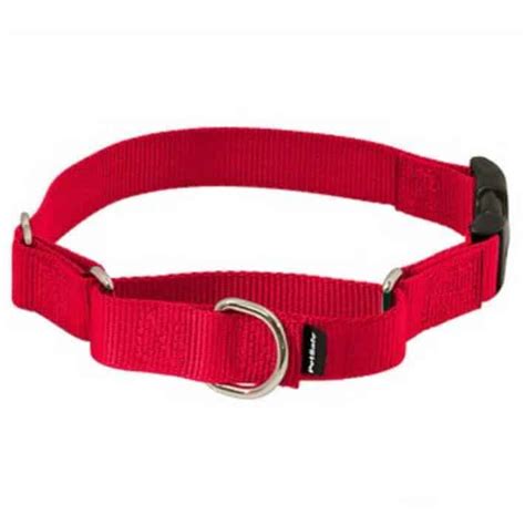 Petsafe Quick Snap Buckle Nylon Martingale Dog Collar Puppy Weight