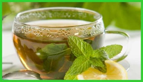 Para Que Que Serve O Chá De Boldo - Chá de boldo: para que serve, benefícios, receita e efeitos colaterais ...