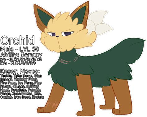 Stoutland Pokemon, Character, Art PNG