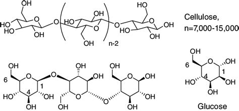 Chemical Composition And Structure Of Cellulose Download Scientific