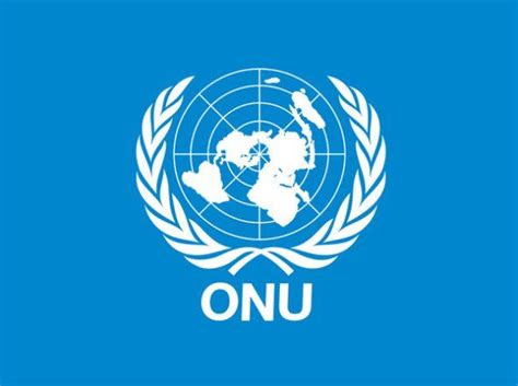 united nations human rights logo united nations human rights council
