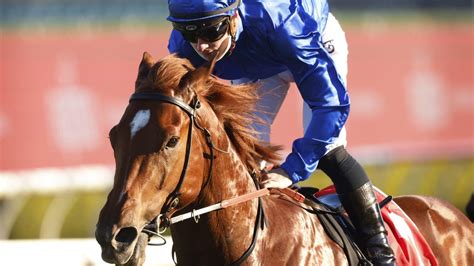 Brad Davidsons Tips And Extended Preview For Randwick Spring Champion