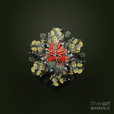 Vintage Naked Flowering Erythrina Floral Wreath On Olive Green N