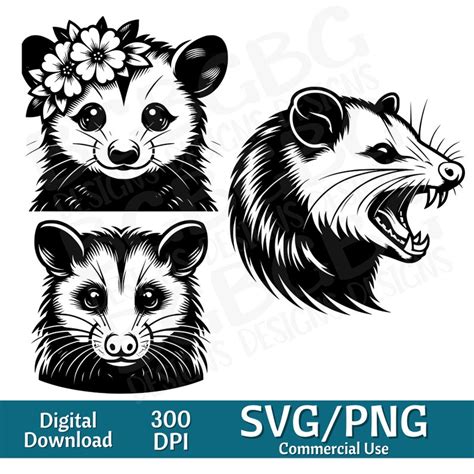 Opossum Svg Bundle Files Opossum Head Svg Opossum Clipart