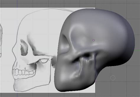 Sculpt Model And Texture A Low Poly Skull In Blender