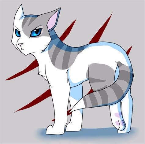 Moje Top Kot W Z Warrior Cats Samequizy