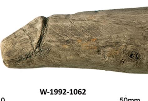 Scoperto Il Primo Sex Toy Dellantica Roma Si Pensava Fosse Uno Strmento Per Cucire Radio 105