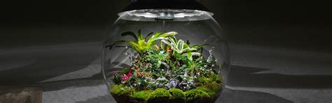 Buy Oase biOrb products | Oase Shop