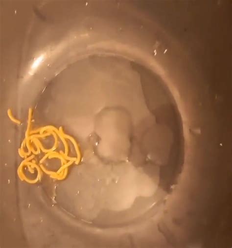 Hot Noodle Puke ThisVid