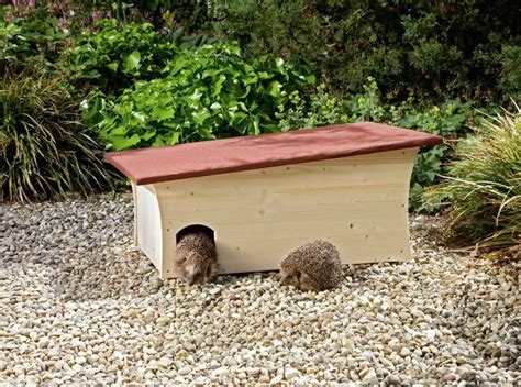 How to build a house for a hedgehog: 20 DIY ideas for a private garden ...