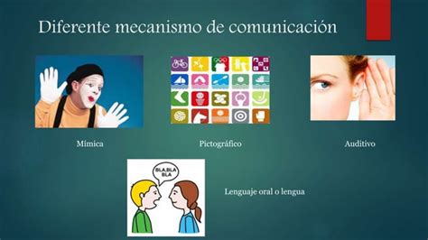 Evolución De La Comunicación Humana Habla Lengua Y Escritura Ppt