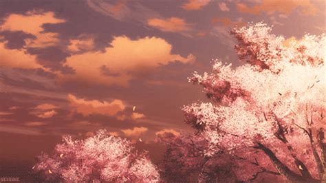 Cherry Blossoms Via Tumblr Animated  3320479 By Patrisha On