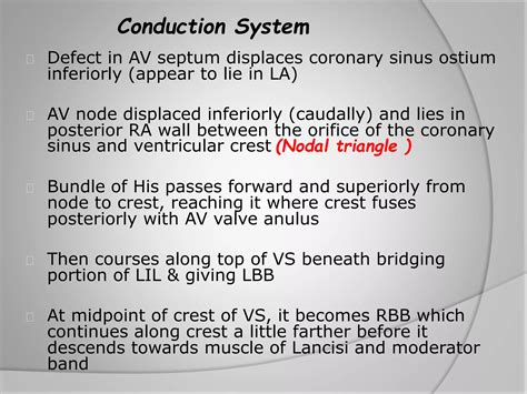 Avsd Ppt