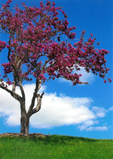 United States Postal Service Locations in Golden Valley Minnesota 30