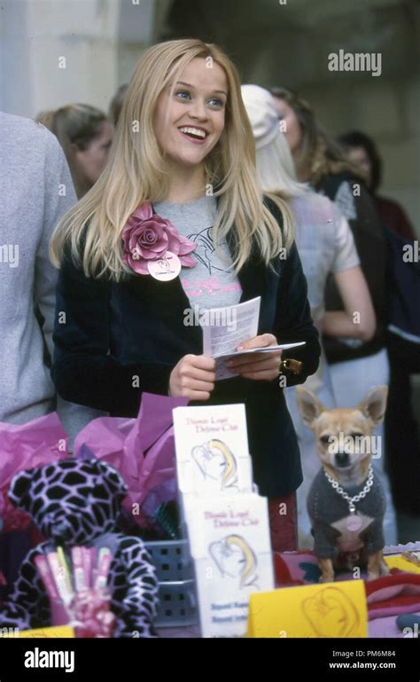 Reese Witherspoon Legally Blonde 2001 Hi Res Stock Photography And