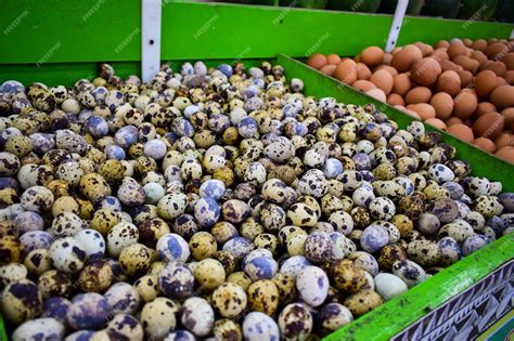 Premium Photo | Quail eggs in supermarket fruit box