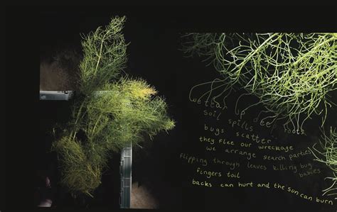 Apprentice Storytelling 2023 — Anne Saxelby Legacy Fund