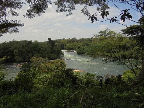 River Nile Uganda Nature Free Photo On Pixabay Pixabay
