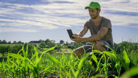 Hohe Sechsstellige Investition In AgTech Startup FARMDOK Farm