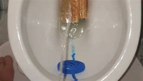 Master Ramon Jerks Off Horny In The Public Toilet Leak Xhamster
