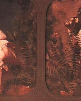 Vintage Stereoscopic Nudes Porn Pictures XXX Photos Sex Images 448793 PICTOA