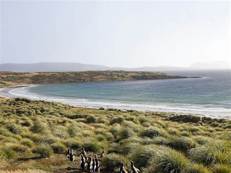 Falkland Islands (Islas Malvinas) travel destinations - Lonely Planet