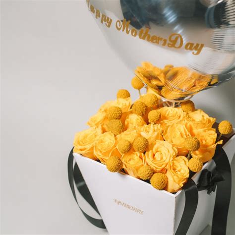 New arrivals – Amberry India