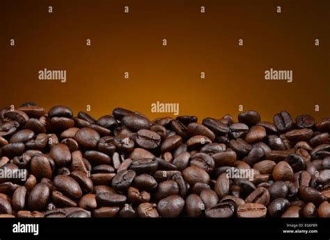 closeup  fresh roasted coffee beans   light  dark warm