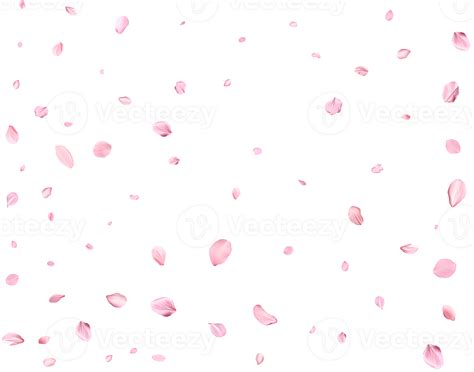 Falling Realistic Sakura Petals 36253384 Png