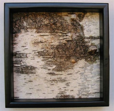 Birch Bark Art Birch Bark Modernminimalist Urban Rustic