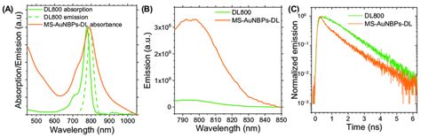 The Dylight Dl Near Infrared Nir Dye Conjugated To