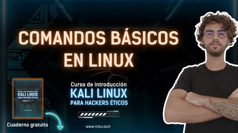 COMANDOS BÁSICOS en LINUX CURSO GRATUITO de KALI LINUX para HACKERS