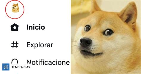 Por Qu Hay Un Perro Meme En El Logo De Twitter Cambio Aumenta Valor