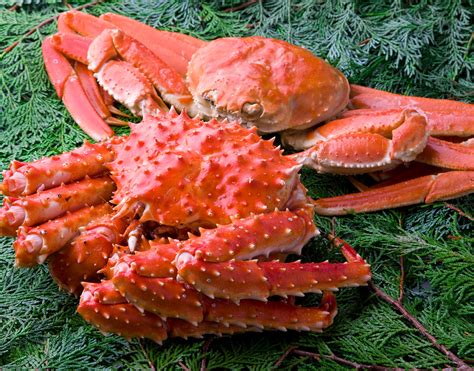 The Differences Between Snow Crab And King Crab Royal Greenland A S